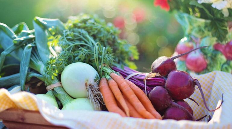 Dieta sostenible y mundo rural