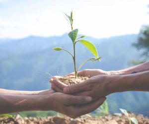 Collaboration between Kaeltia and CABI BioProtection Portal