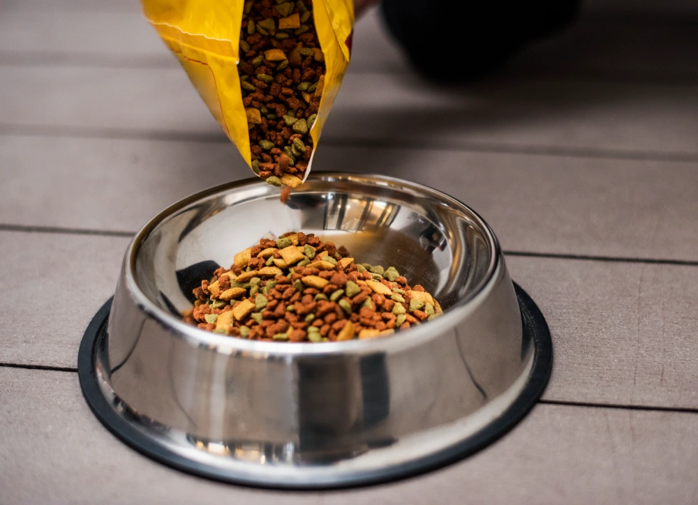 Regulación y Etiquetado de Pet Food en EE. UU. - FDA y AAFCO
